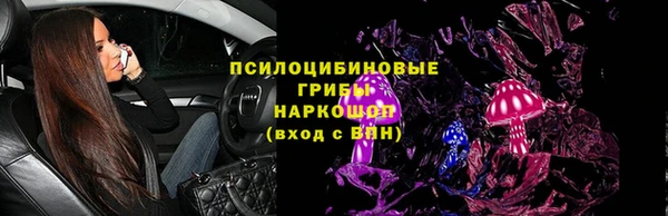 ГАЛЛЮЦИНОГЕННЫЕ ГРИБЫ Армянск