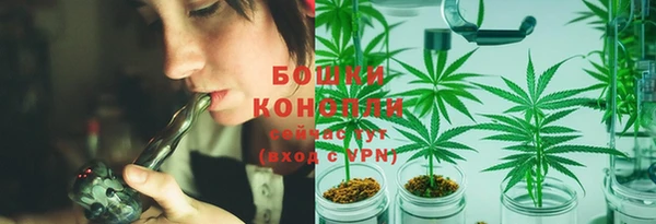 ГАЛЛЮЦИНОГЕННЫЕ ГРИБЫ Армянск