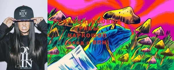 apvp Аркадак