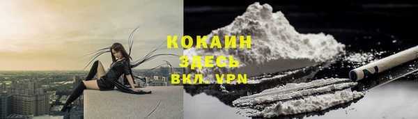 apvp Аркадак