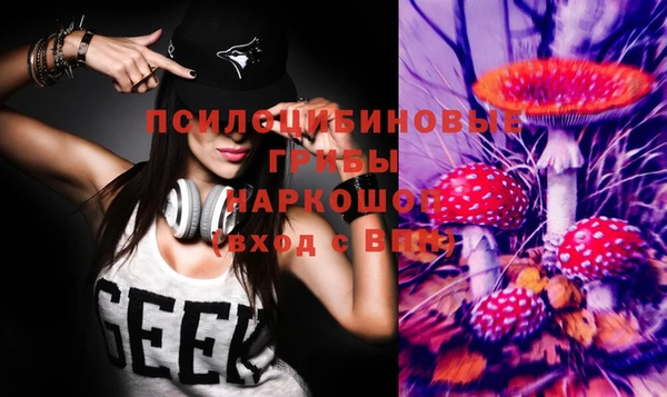 мет Арсеньев