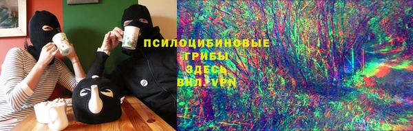 apvp Аркадак