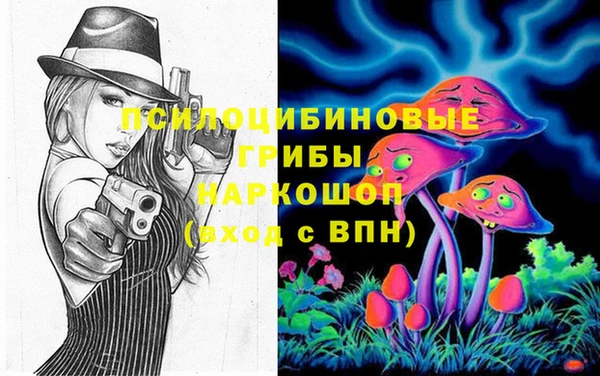 ГАЛЛЮЦИНОГЕННЫЕ ГРИБЫ Армянск